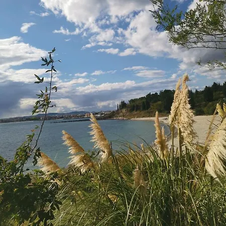 Ferano * Nesebar